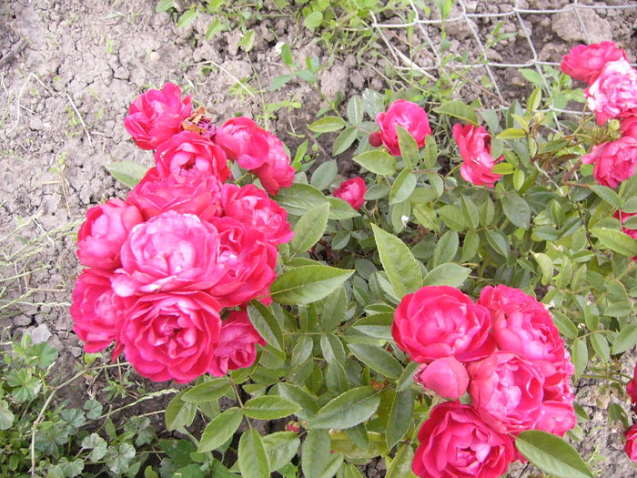 P1240583