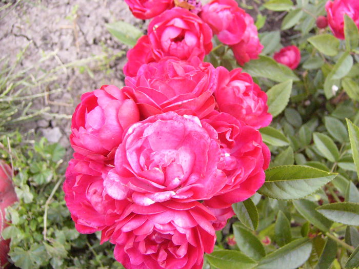 P1240584