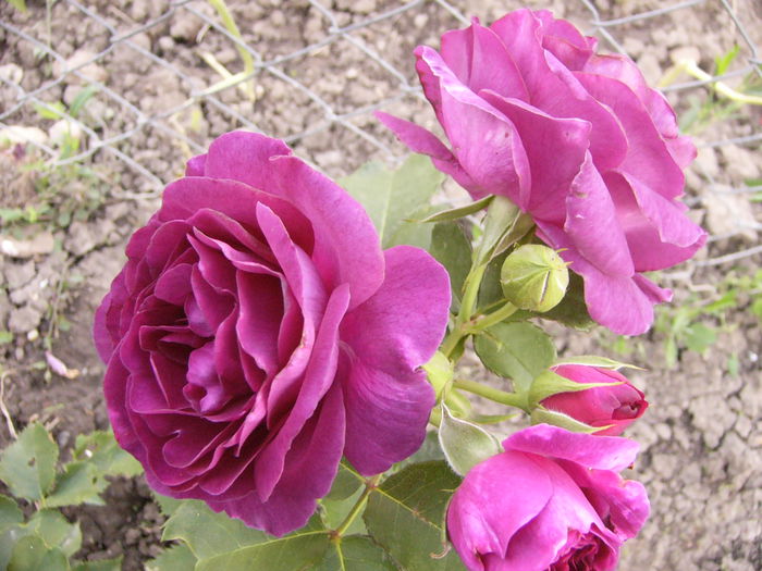 P1240587