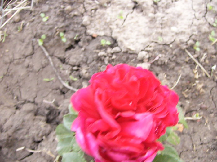 P1240591