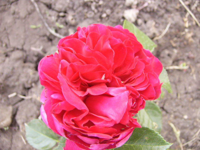 P1240592