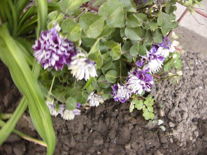 P1240594