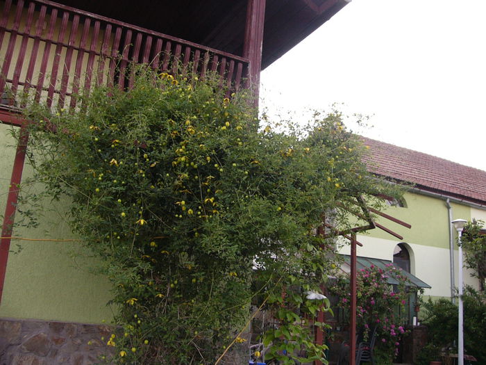 P1240597