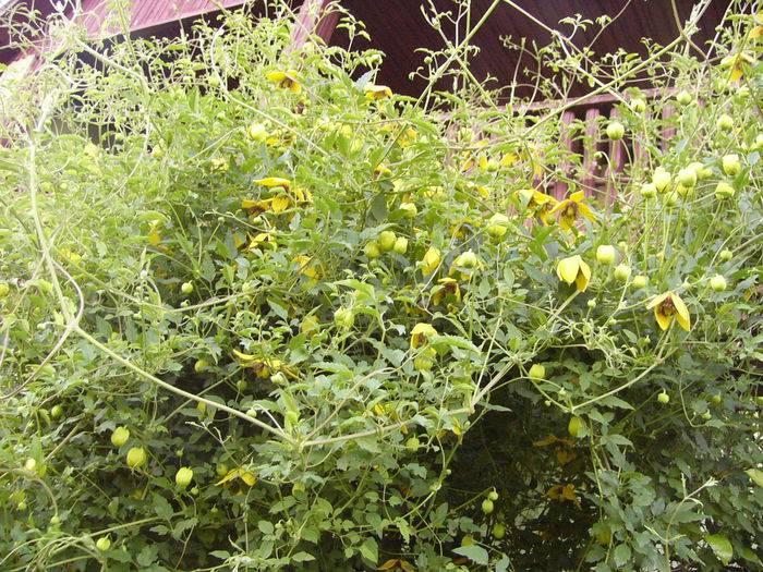P1240600