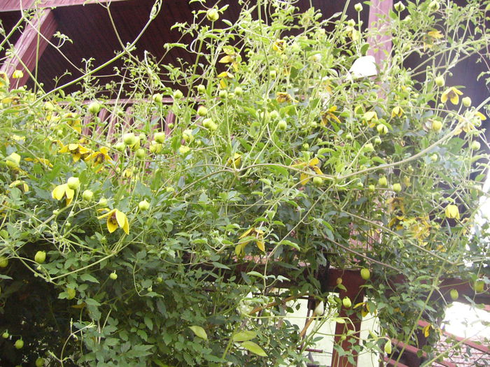 P1240601