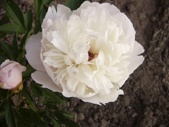 P1240602