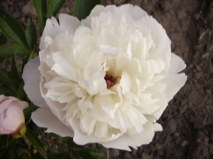 P1240603