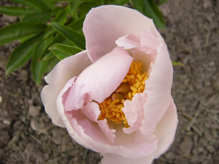 P1240604