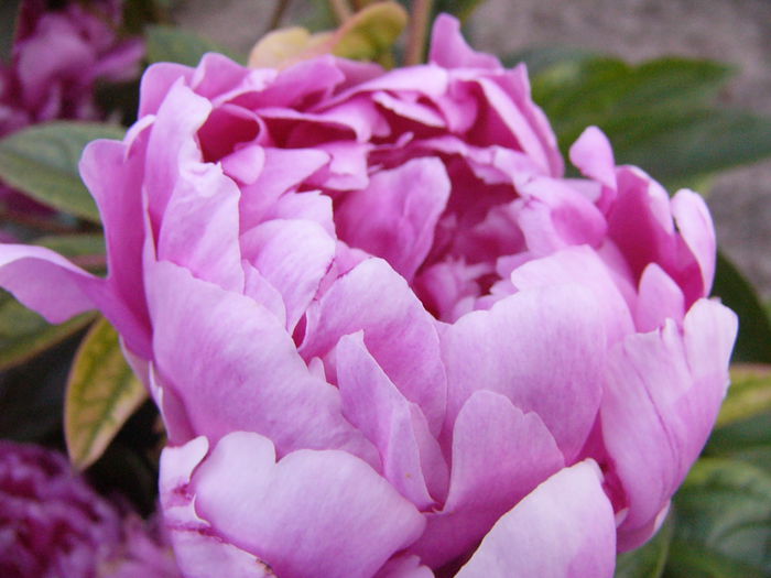 P1240618
