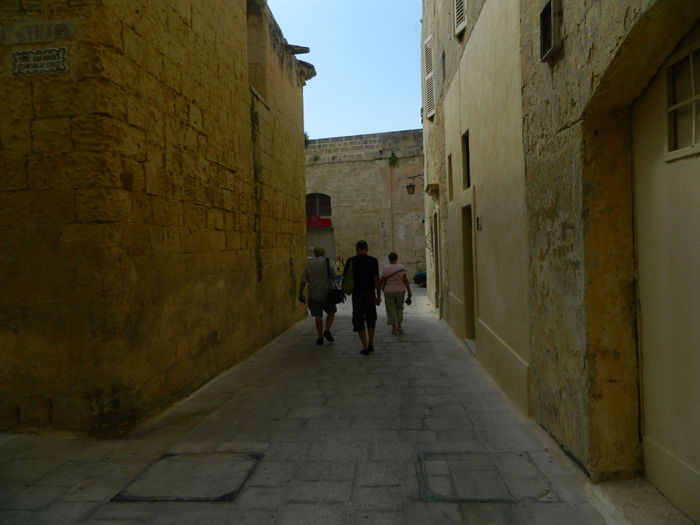 DSCN7283