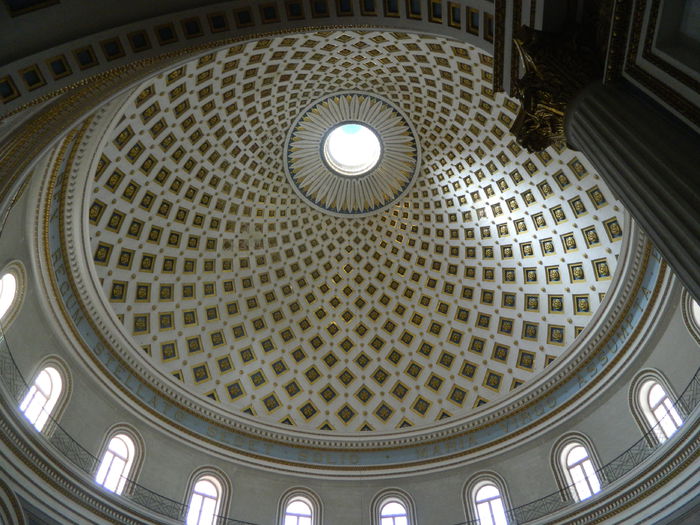 DSCN7292