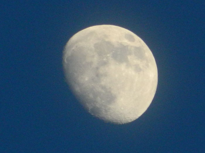 DSCN8775 - 2015_IUNIE