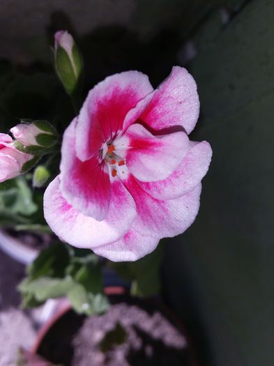20150602_174534