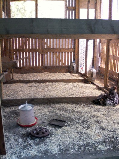 IMG_20150530_130107 - ADAPOST PASARI