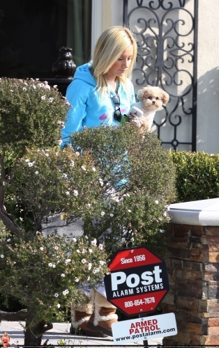 5pn813 - Ashley Tisdale