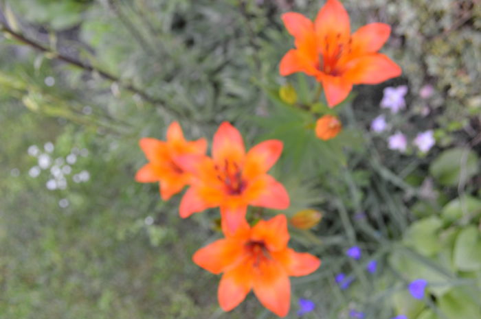 DSC_1569