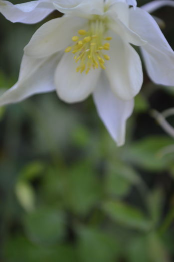 DSC_1577