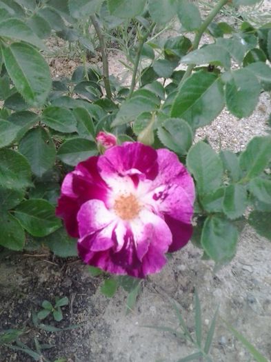 20150603_171900