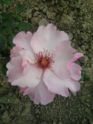 20150603_165034