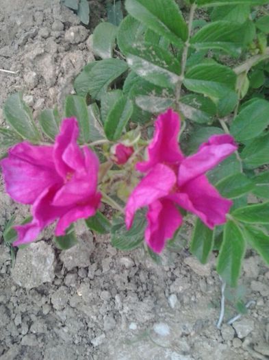 20150603_165215