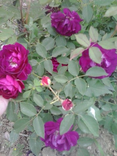 20150603_165931