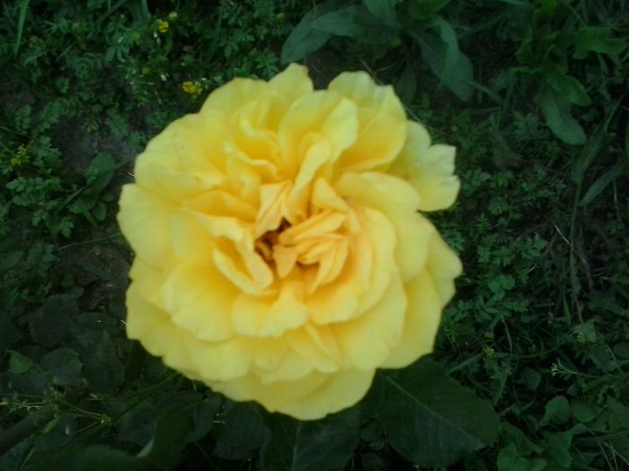 20150603_170336