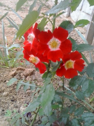 20150603_171602