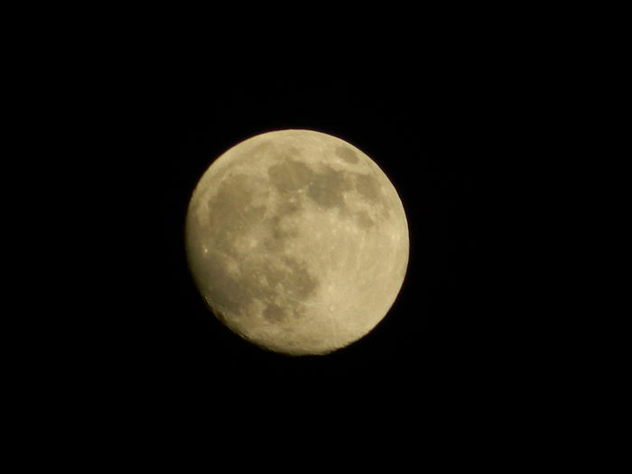 DSCN9055 - 2015_IUNIE