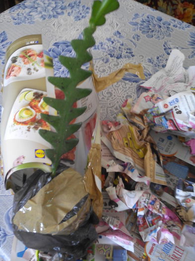 mie imi place daca va place si voua comentati