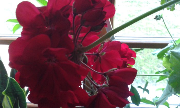 20150604_061700
