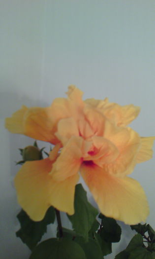 2015-06-03 19.16.49