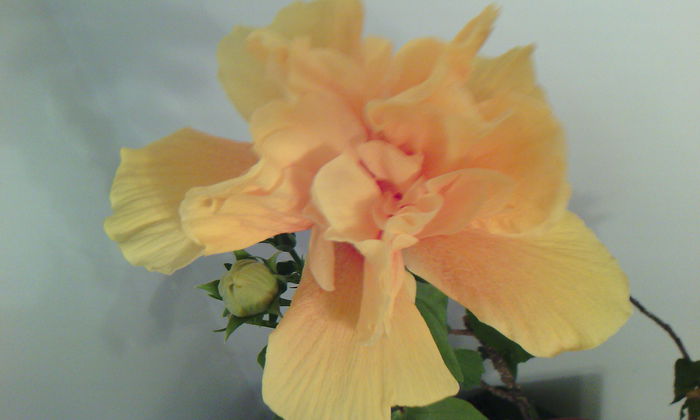 2015-06-03 19.17.12