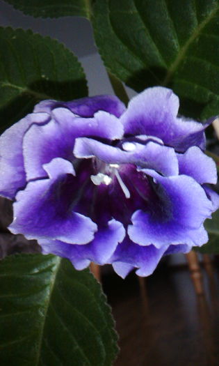 2015-06-04 18.55.59