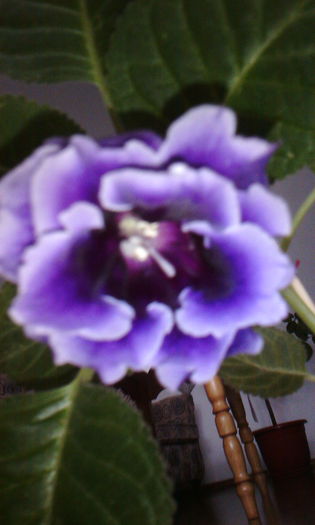 2015-06-04 18.56.31