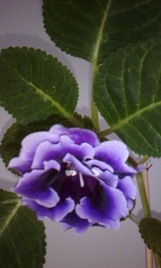 2015-06-04 18.58.13