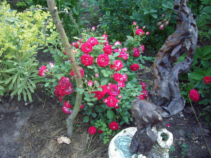 IMGP8464