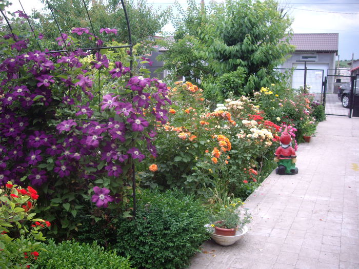 IMGP8539