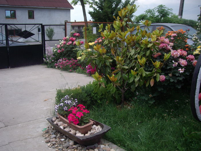 IMGP8543