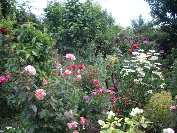 IMGP8555