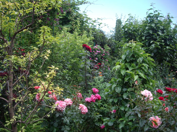 IMGP8556