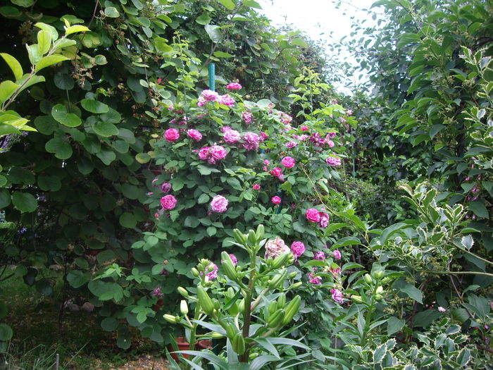 IMGP8557