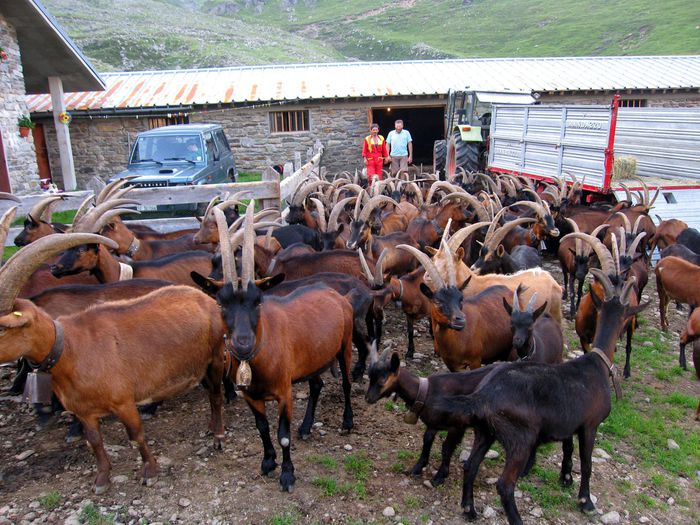 Ramai uimit ce sa mai zici,,,,,