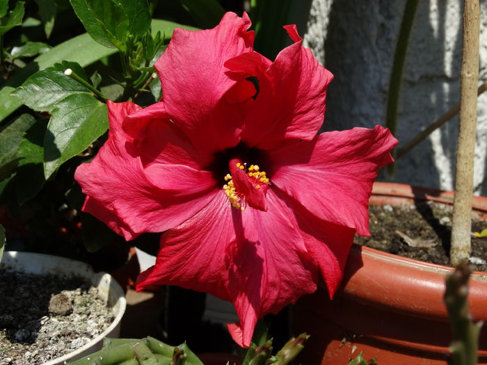 DSC01325