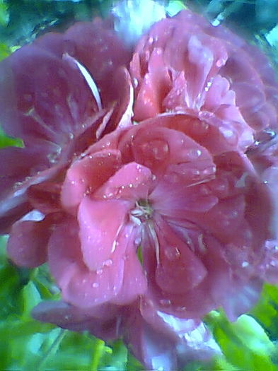 Fotogr.2322