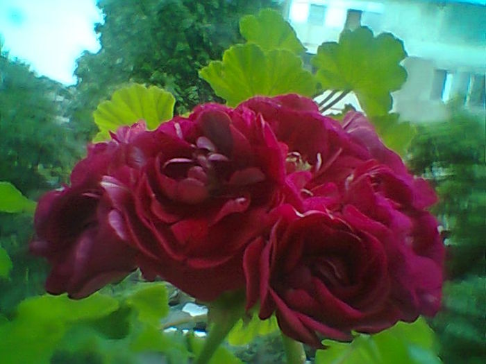Fotogr.2326