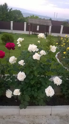 WP_20150605_05_45_18_Pro