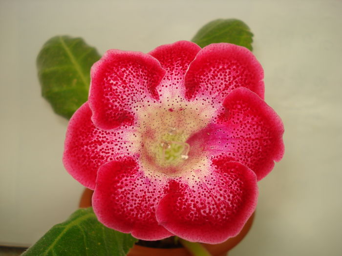 DSC01565
