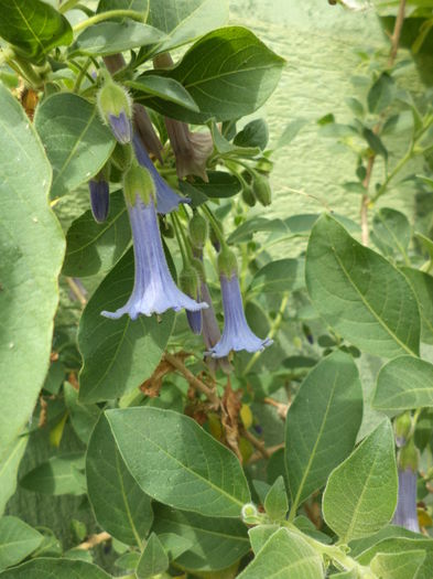 DSC03883 - ANUL 2015