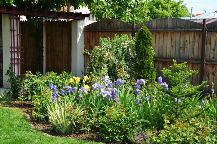 DSC_0349 - I - Spring 2015