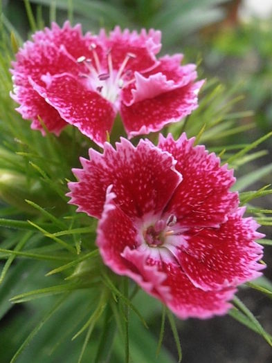 P6050565